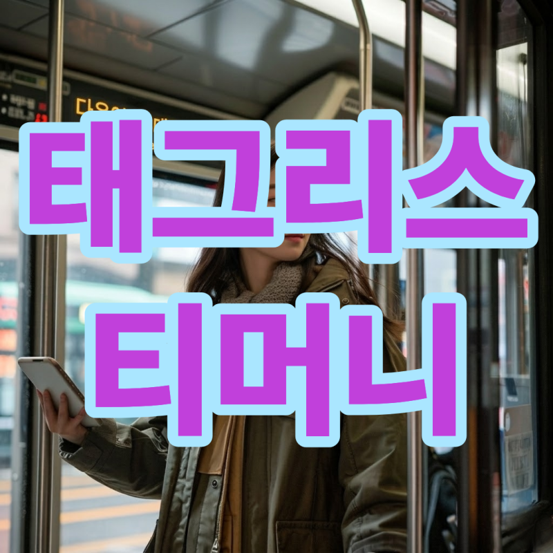 태그리스 티머니 아이폰 k패스 사용방법 알아보기