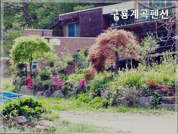 구룡계곡펜션 사진 3