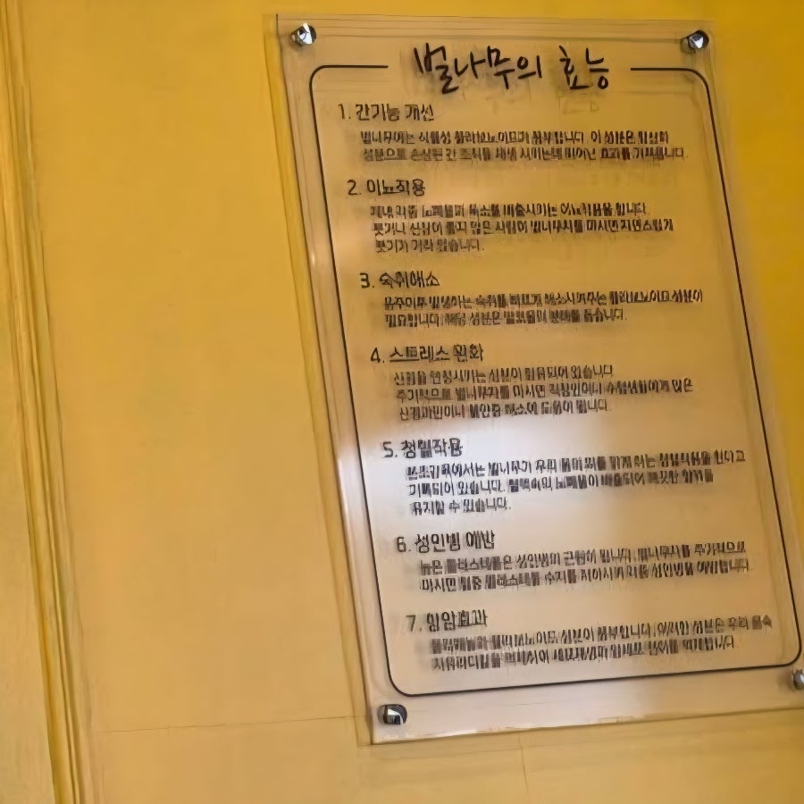 채우미콩나물국밥 사진 5