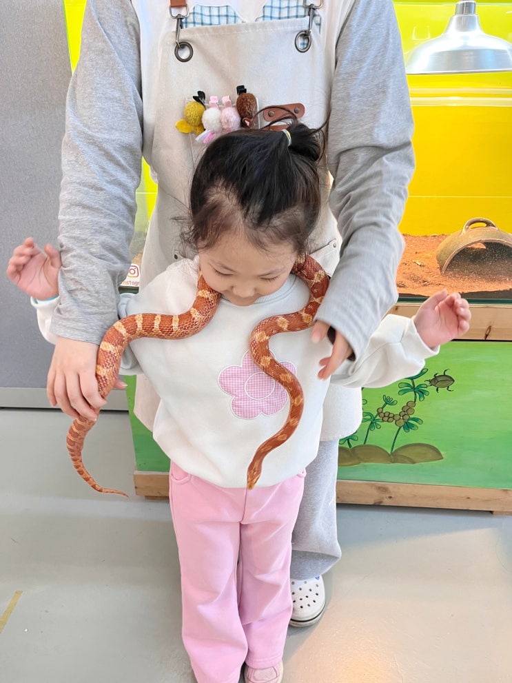  구미가볼만한곳 김천 아이랑 실내 먹이주기 체험 다솜생태관
