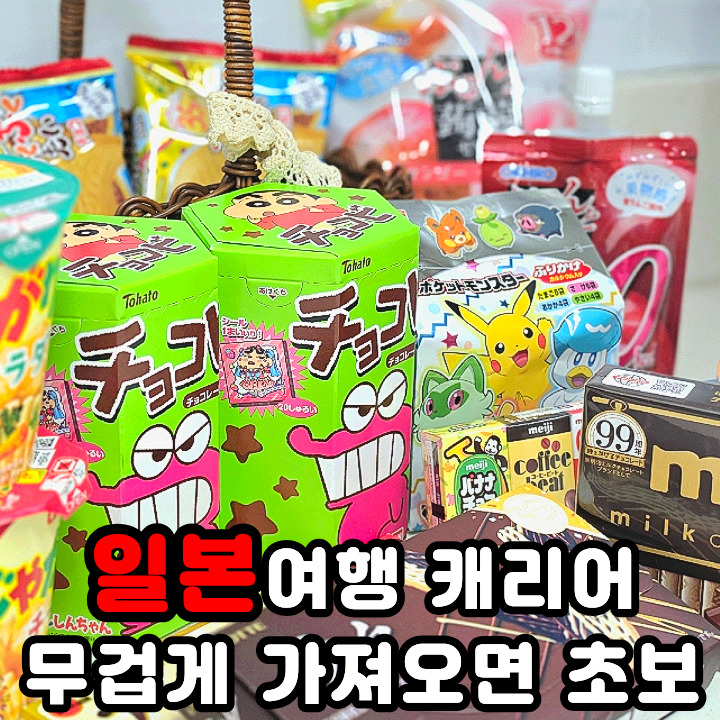  엔핍 일본직구쇼핑몰에서 샤샤초콜릿 자가리코 구했어요