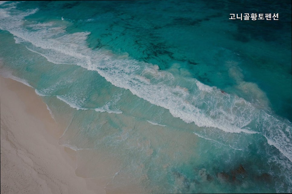 황토펜션 사진 2