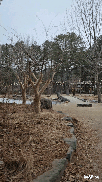 [경기/가평] 남이섬 정관루호텔 온돌방 아기랑 1박2일 솔직후기 (주차, 조식, 픽업 총정리)