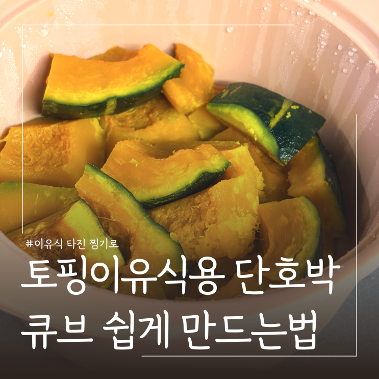  이유식 타진찜기로 초기이유식 단호박 큐브 쉽게 만드는법