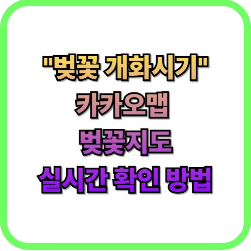  2026 카카오맵 벚꽃 지도 활용법, 실시간 벚꽃 개화 확인