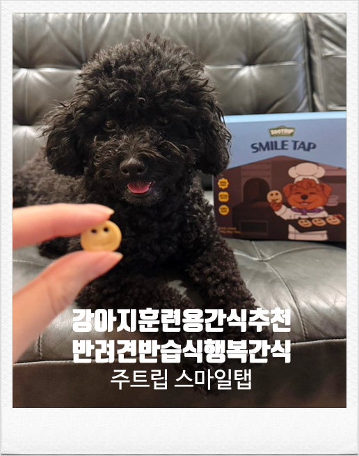  강아지간식 고민이라면? 훈련용으로도 좋은 건강한 반습식 반려견간식 주트립 스마일탭으로 개인기 늘어난 찐 후기