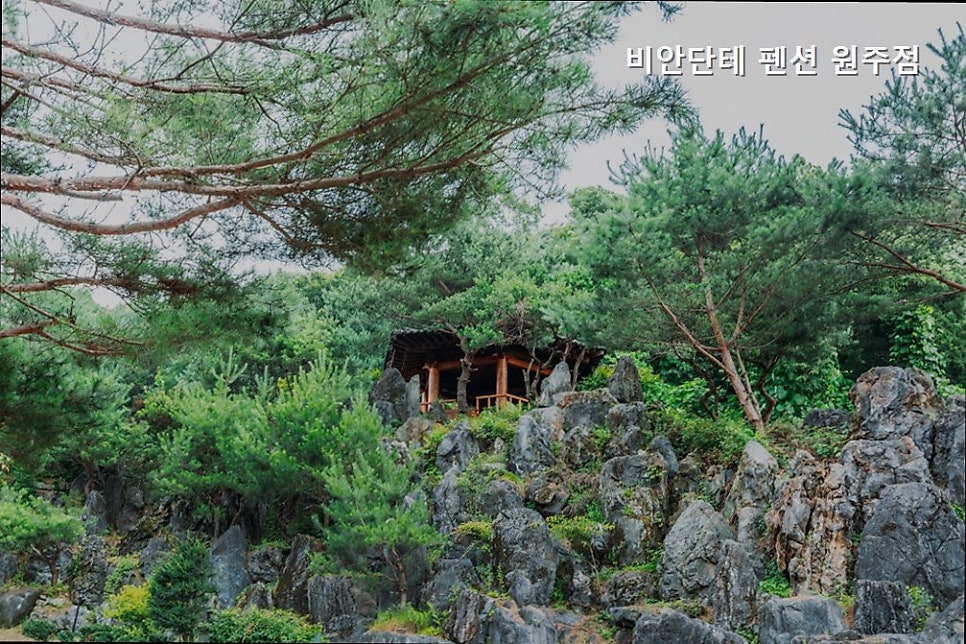 비안단테펜션 원주점 사진 1