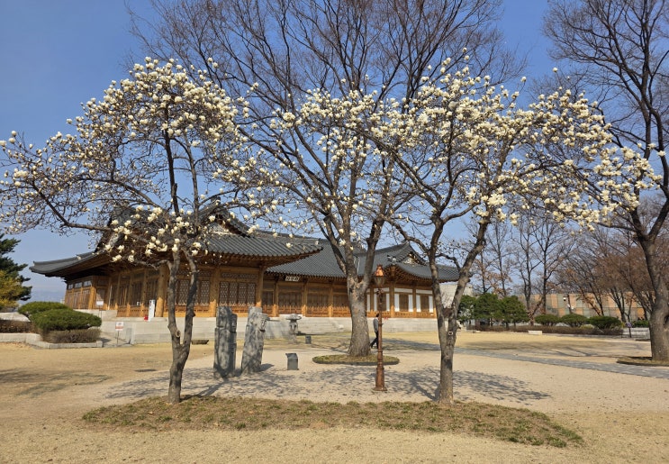 정책지식 2026.3.26.