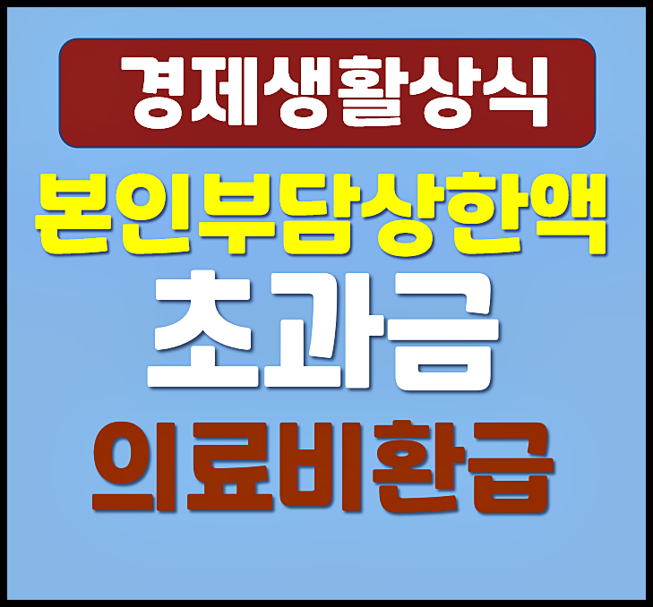  정부24 본인부담상한액 초과금 환급 신청방법