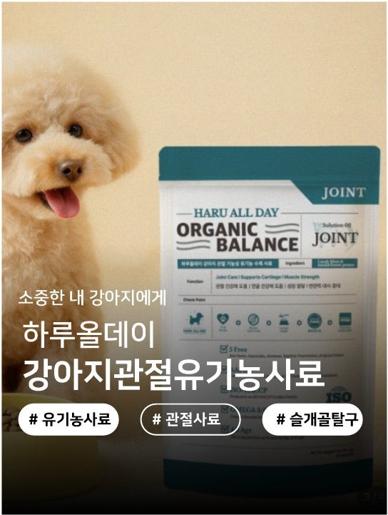 사진 7
