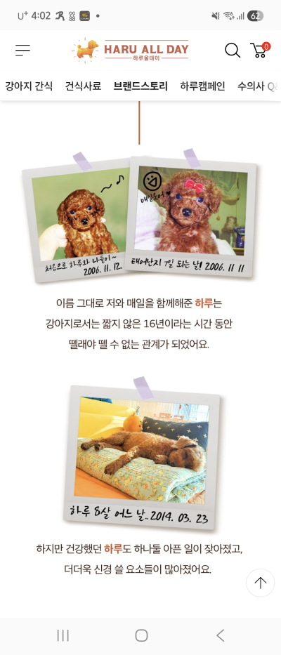 사진 8