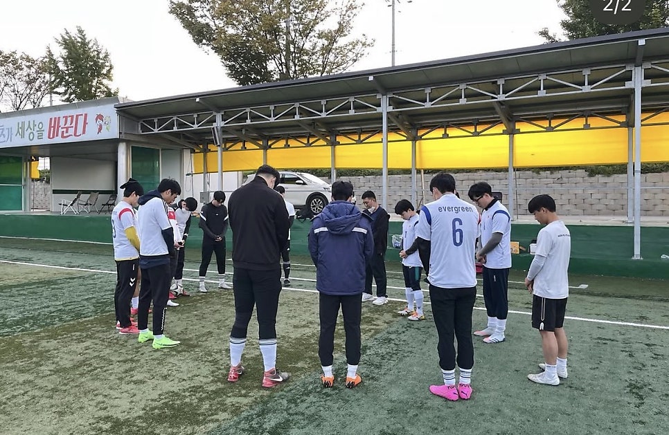 에버그린 사진 3