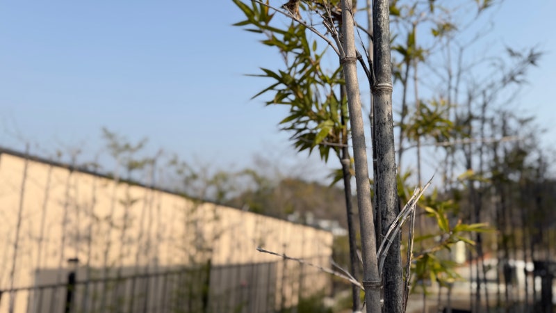사진 9