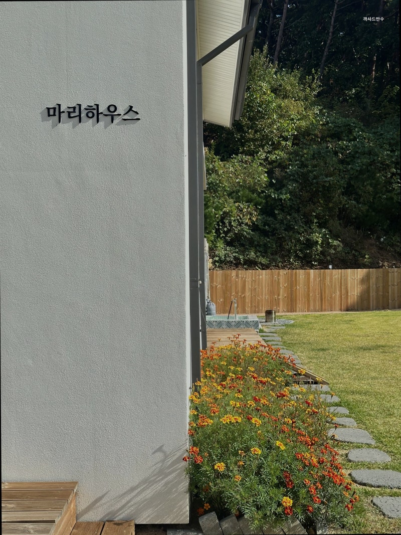 사진 13
