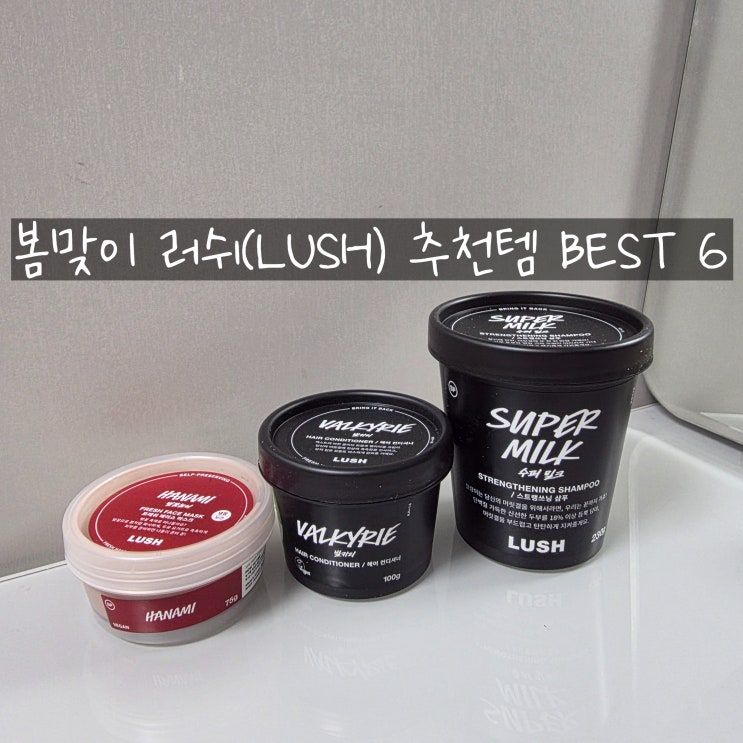  봄맞이 러쉬 추천템 BEST 6 환절기 피부 고민 해결하는 내돈내산 꿀조합