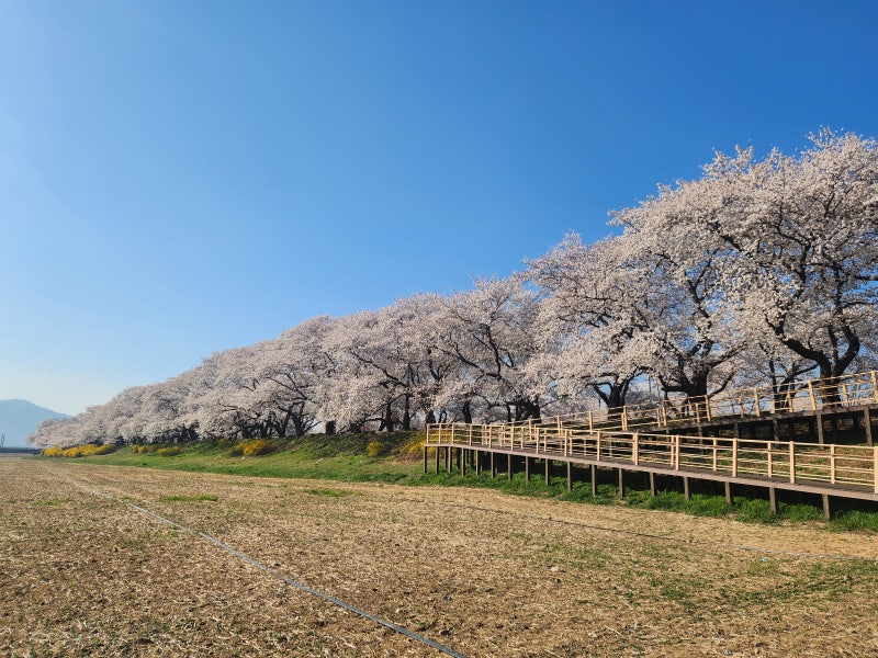 사진 4