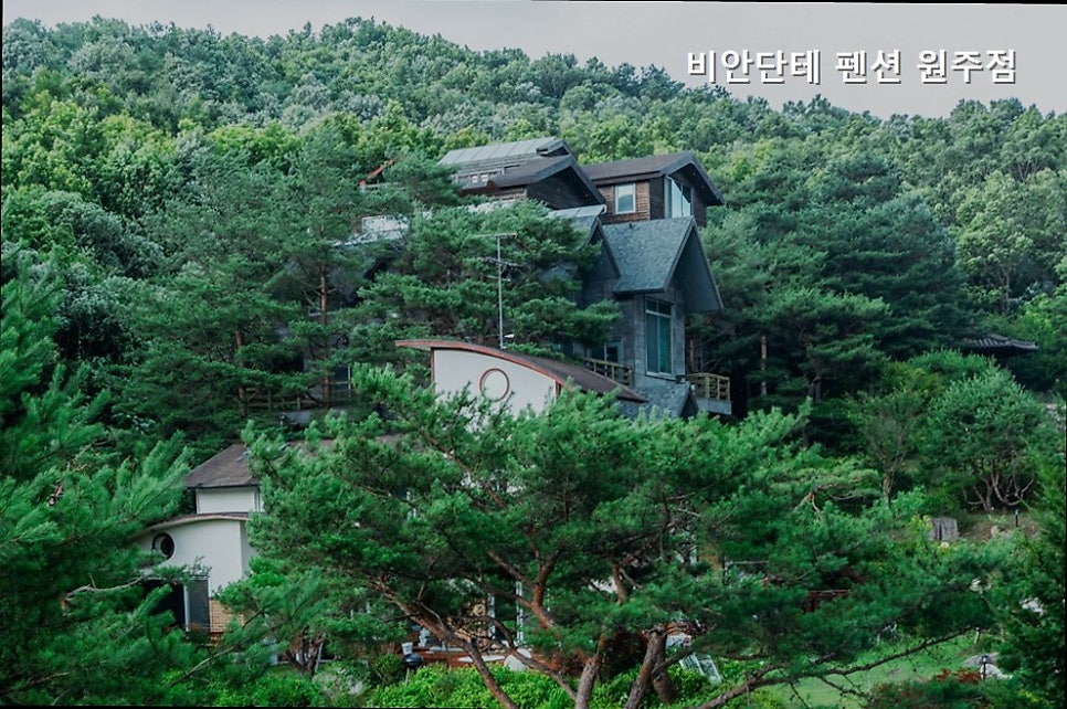 비안단테펜션 원주점 사진 5