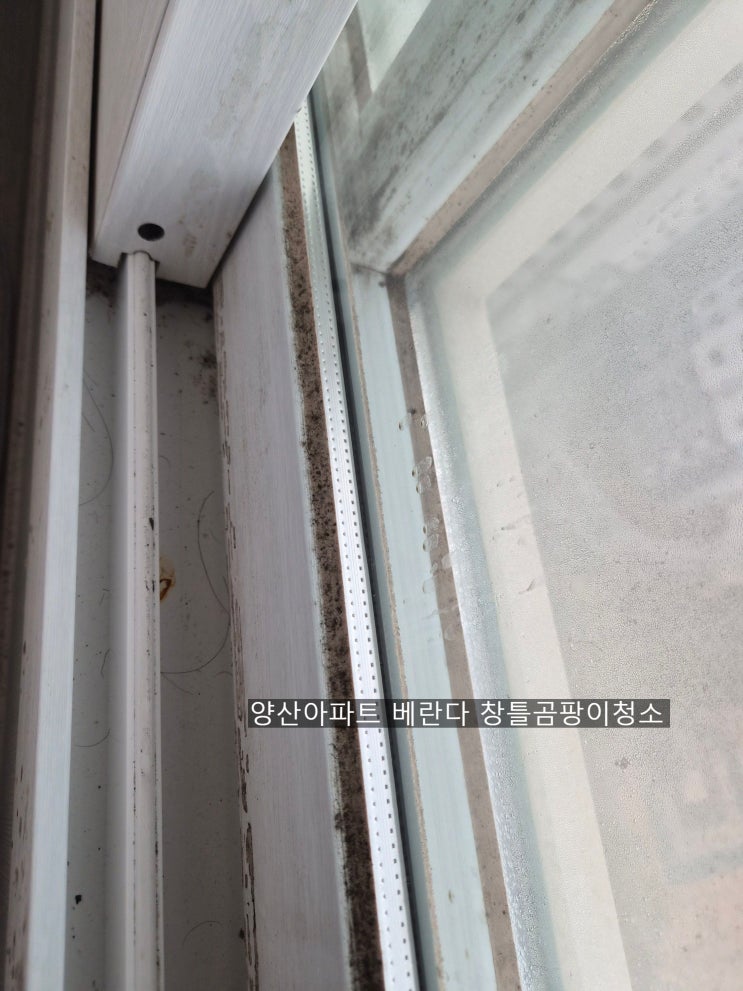  아파트 베란다 창문 곰팡이제거청소 실리콘에 앉은 곰팡이청소 유리창문 실리콘에 묶은 곰팡이제거청소~양산해피홈케어