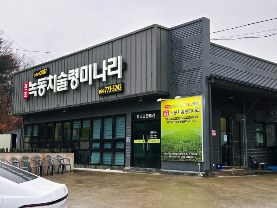 녹동치술령미나리 사진 1