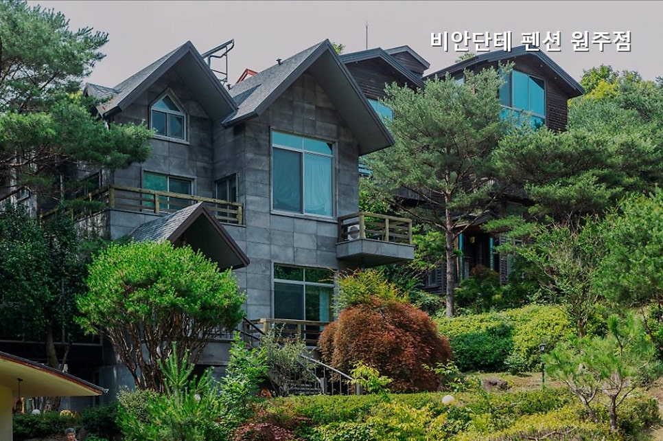 비안단테펜션 원주점 사진 2