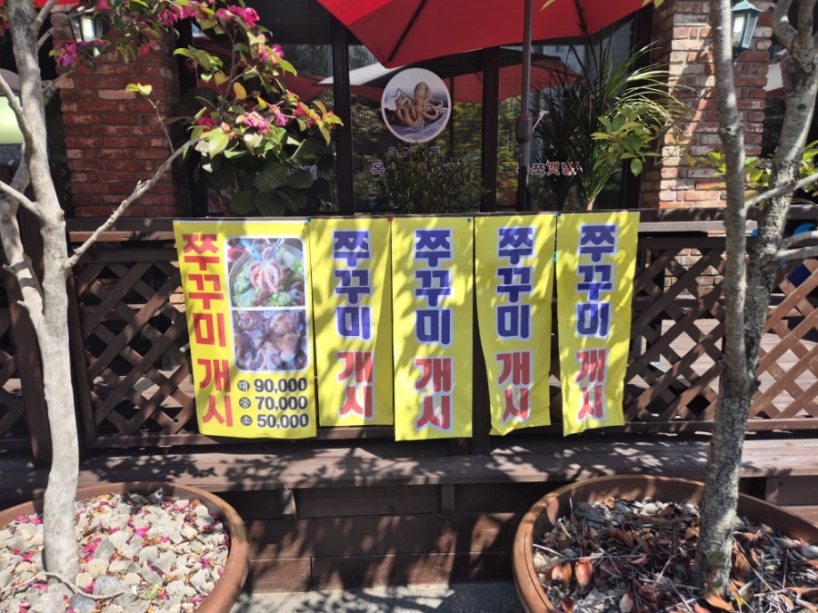 목포갯벌낙지 사진 2