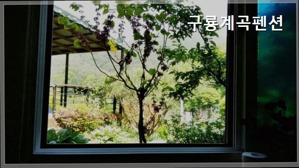 구룡계곡펜션 사진 4
