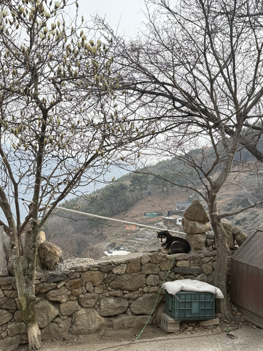 지리산 소자연 사진 5