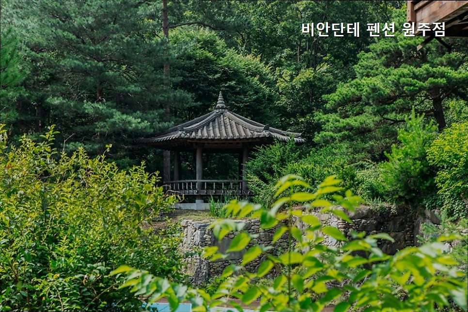 비안단테펜션 원주점 사진 4