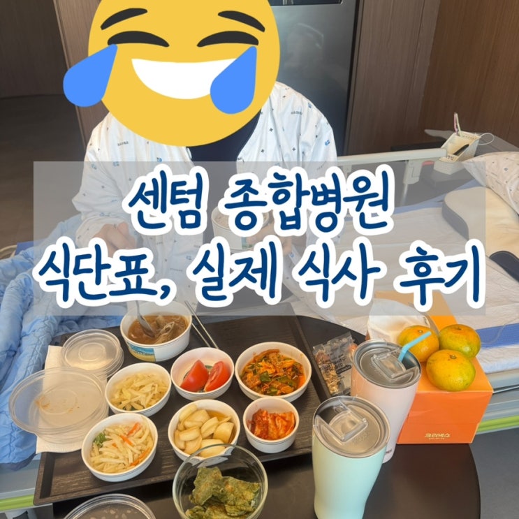  입원 기록 (5) 병원 식사 후기 | 실제 식단표 공개