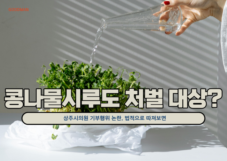  “콩나물시루도 처벌 대상?”…상주시의원 기부행위 논란, 법적으로 따져보면