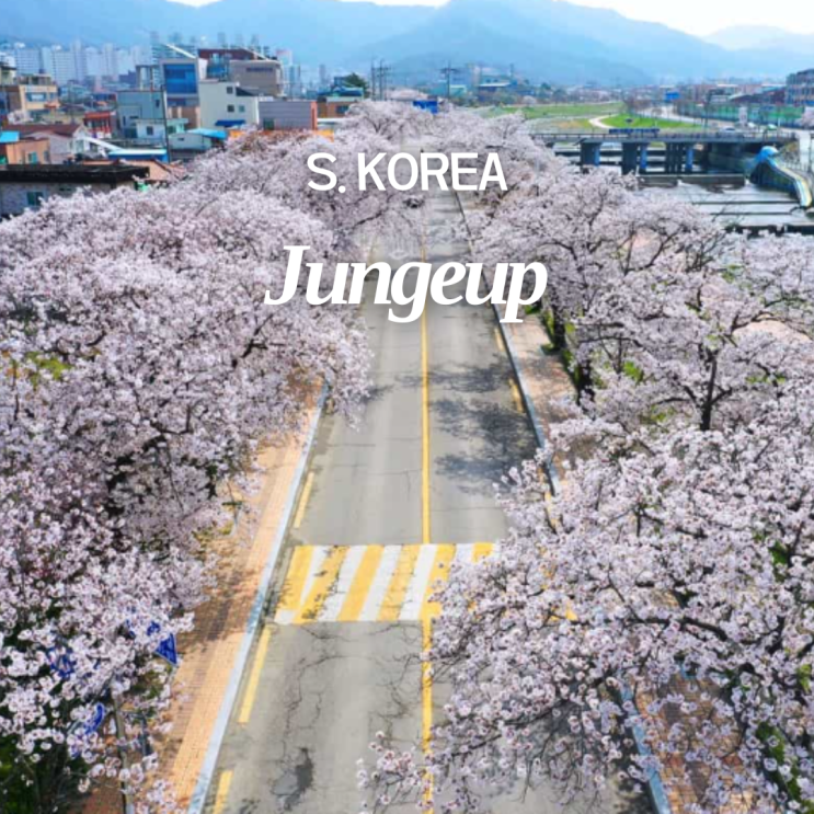  2026 정읍 벚꽃축제 날짜 주차 초대 가수 라인업