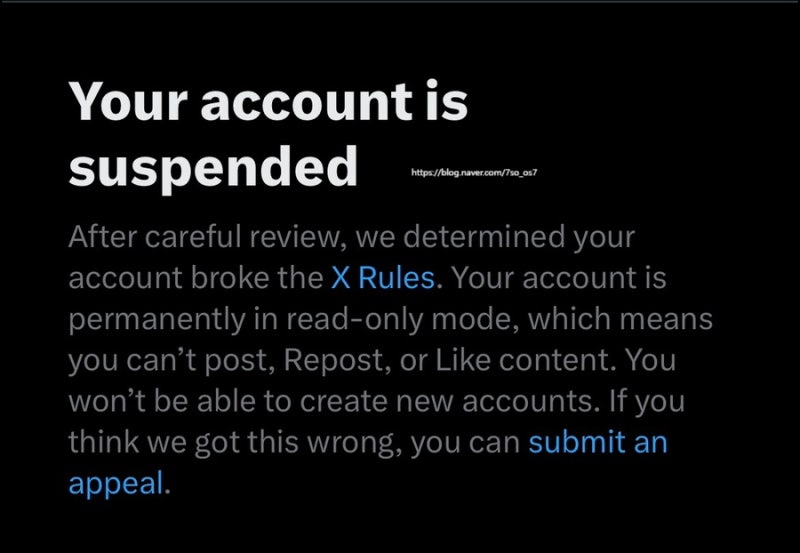 X 트위터 일시 영구 정지 오류 증상 이의제기 메일 답변 푸는 법 안 먹는 법 복구 shadow ban