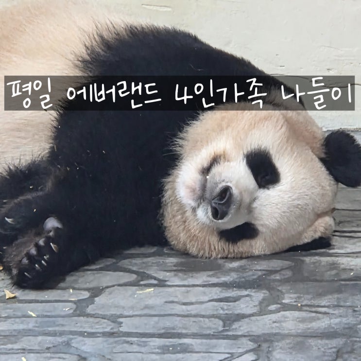  평일 에버랜드 4인 가족 나들이