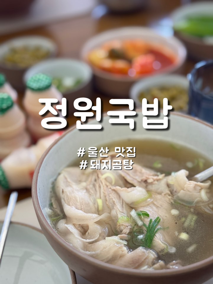  울산 삼산 맑고 깔끔한 돼지곰탕집 숨은 맛집 정원국밥