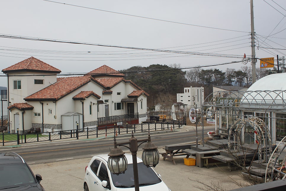 플루메리아 사진 4