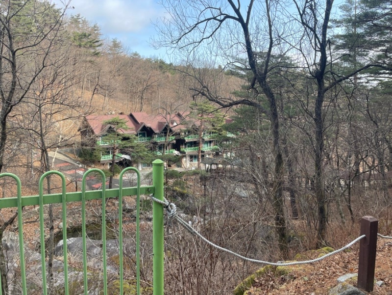 강릉 숙소 - 대관령 자연휴양림(가성비와 숲뷰~)
