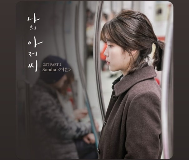 大人 - Sondia (我的大叔 OST)