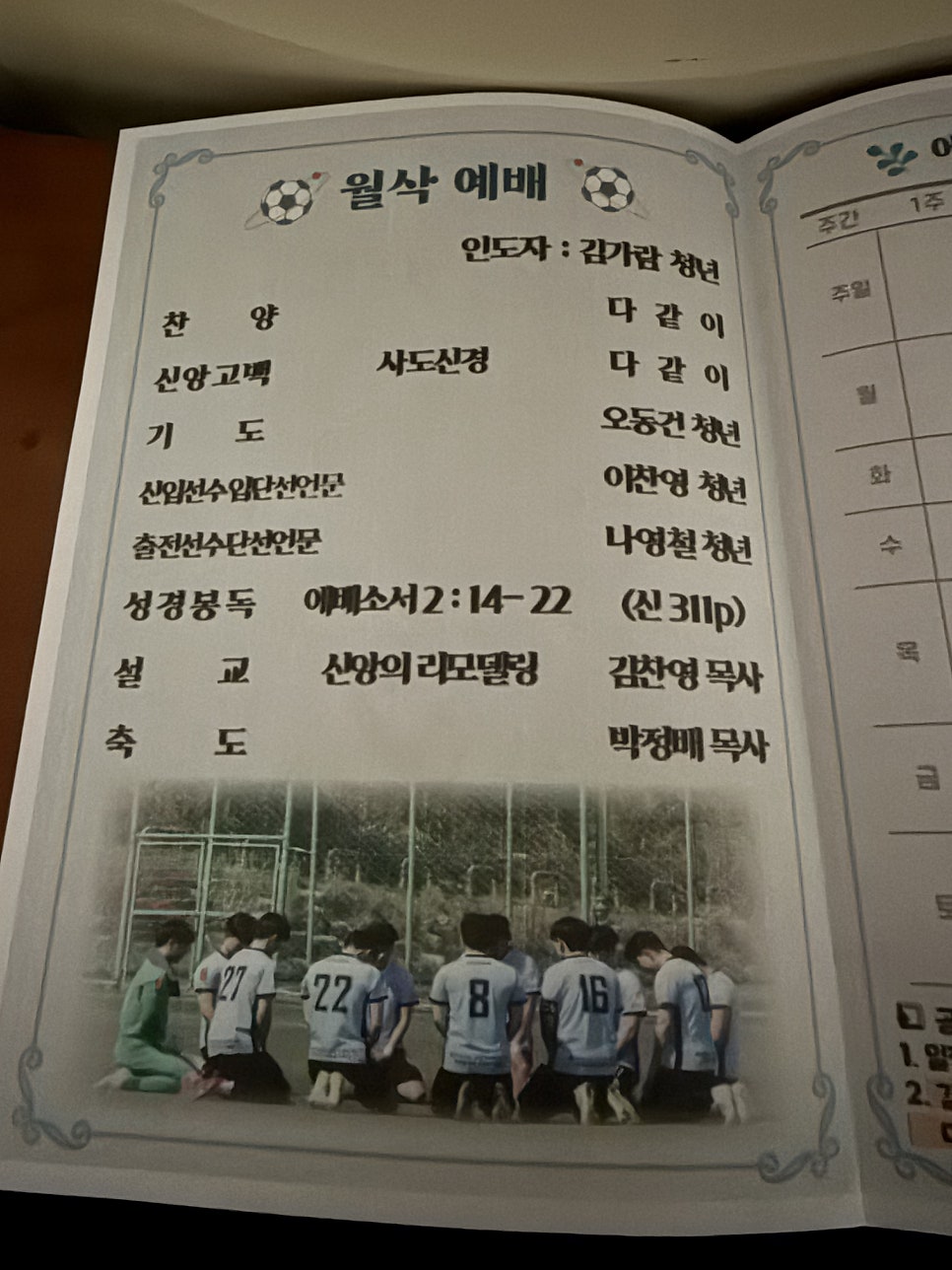 에버그린 사진 6