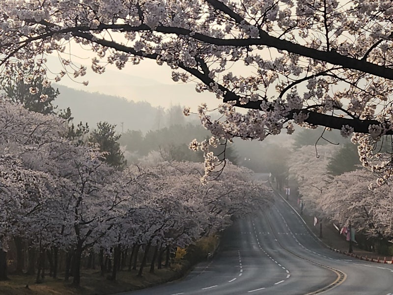 사진 5