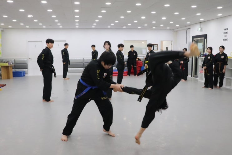  강동초 운동 고민이라면? 고학년이 합기도를 선택하는 이유