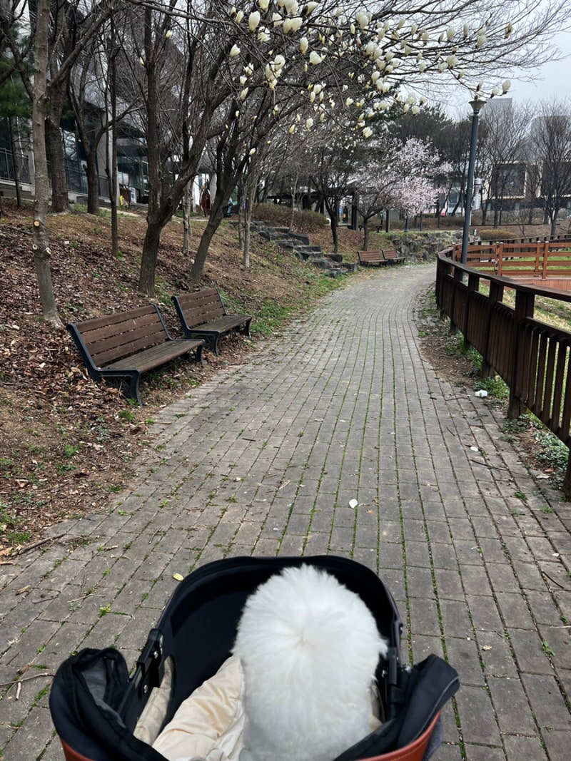 사진 3