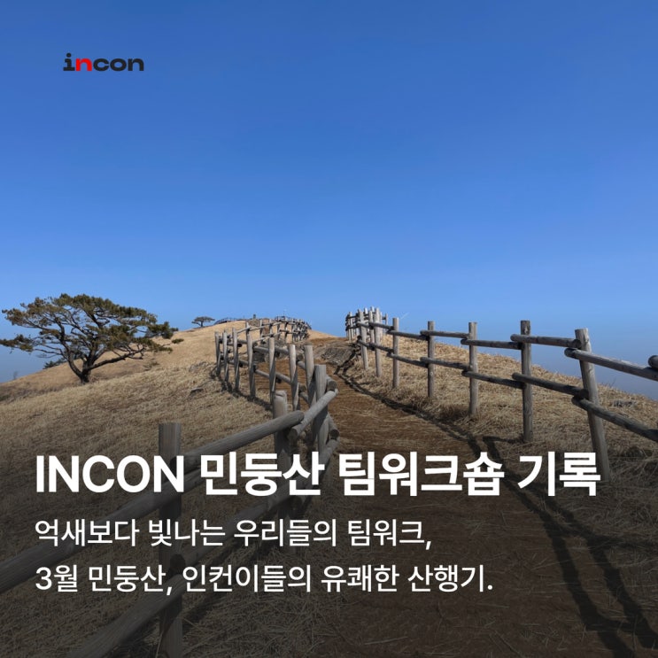  여행만은 대문자 P들의 민둥산 워크숍, 등산으로 돈독해진 인컨 팀 산행기️