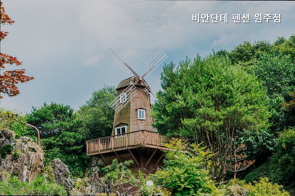 비안단테펜션 원주점 사진 3