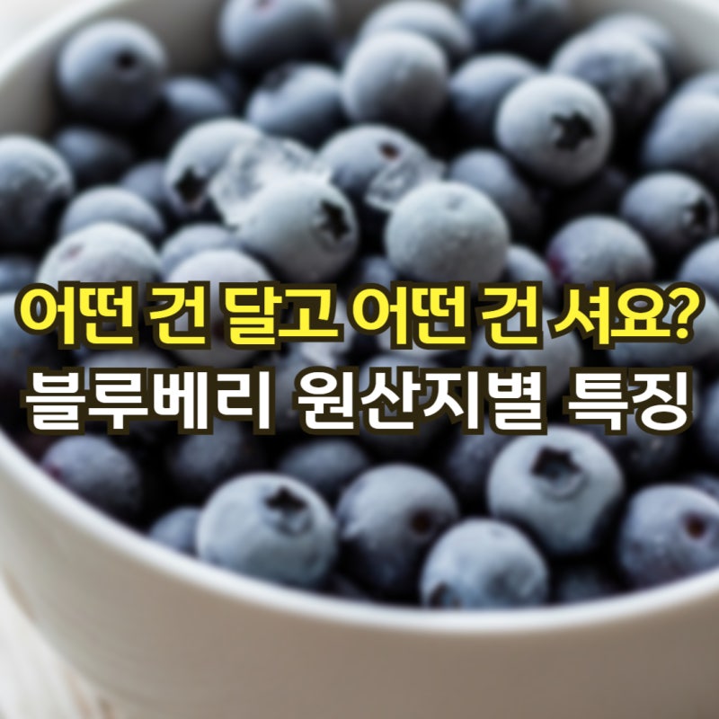 미국산 칠레산 중국산... 원산지 별 블루베리 맛이 천차만별인 진짜 이유