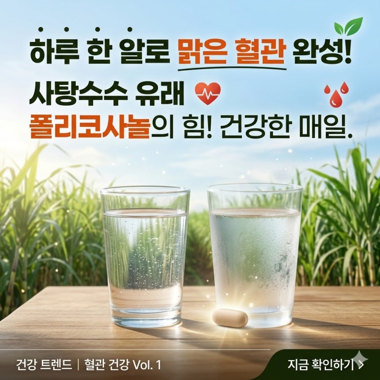 폴리코사놀 콜레스테롤 수치 낮추나요? 건강한 혈관을 위한 쉬운 가이드