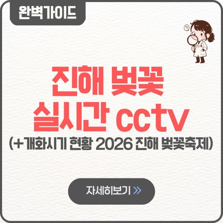 진해 벚꽃 실시간 cctv 개화시기 현황 2026 진해 벚꽃축제 일정