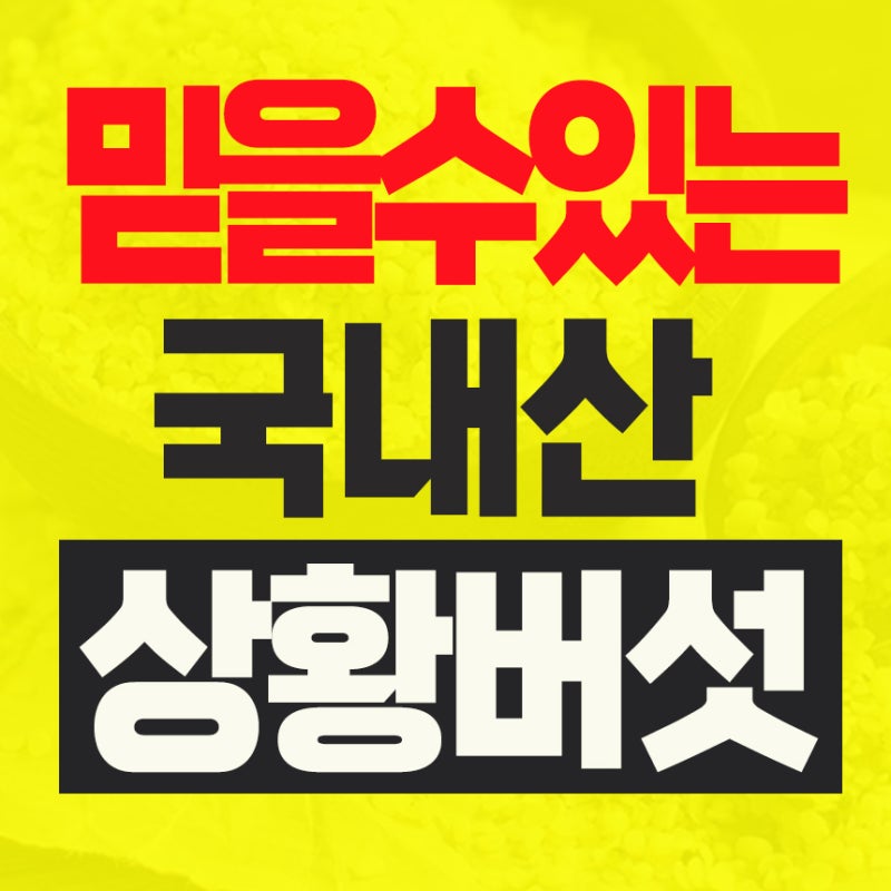 상황버섯 효능과 부작용 | 가루·상황버섯쌀·즙 먹는방법까지 한눈에