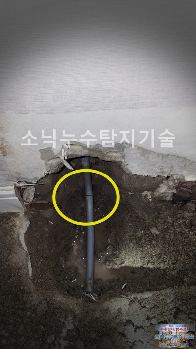 부분 굴착으로 드러난 회색 PB 급수배관, 벽 안쪽으로 들어가는 손상 부위가 노란 원으로 표시되어 있다