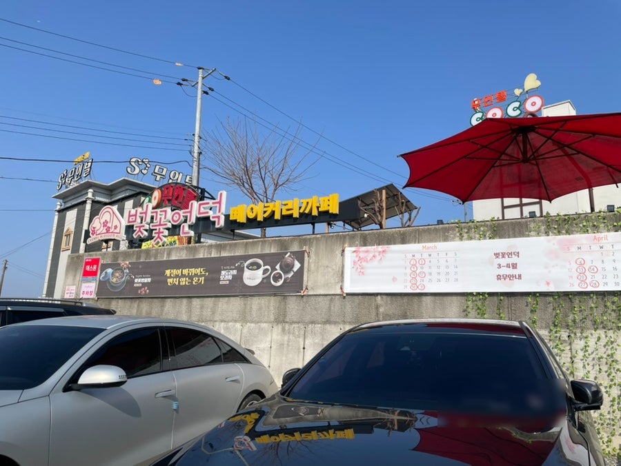 벚꽃언덕 사진 1