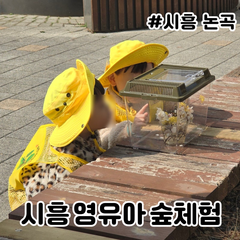 시흥 숲체험 1세 2세 어린이집 유아숲놀이